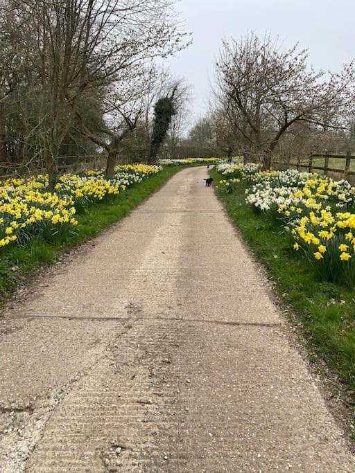 Apartment Hazelhurst - Close To Bewl Water Wadhurst